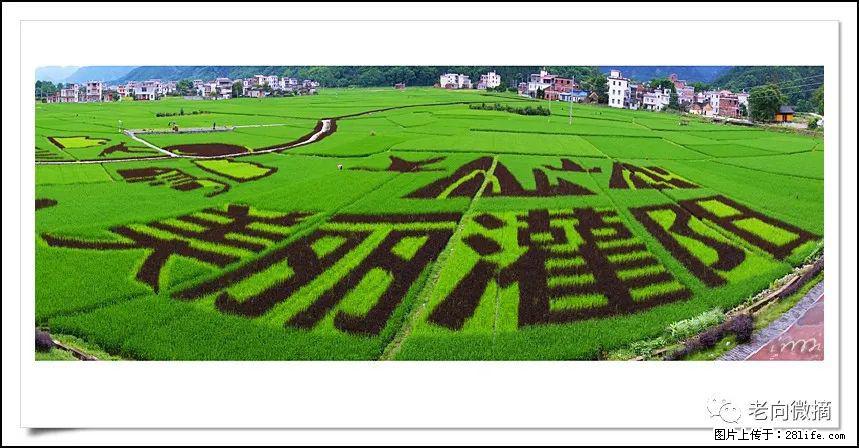 【春天,广西桂林灌阳县向您发出邀请!】开篇 - 游山玩水 - 泰安生活社区 - 泰安28生活网 ta.28life.com