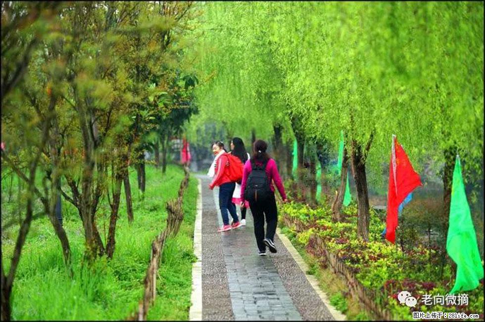 【春天,广西桂林灌阳县向您发出邀请!】江口老街又逢春 - 游山玩水 - 泰安生活社区 - 泰安28生活网 ta.28life.com