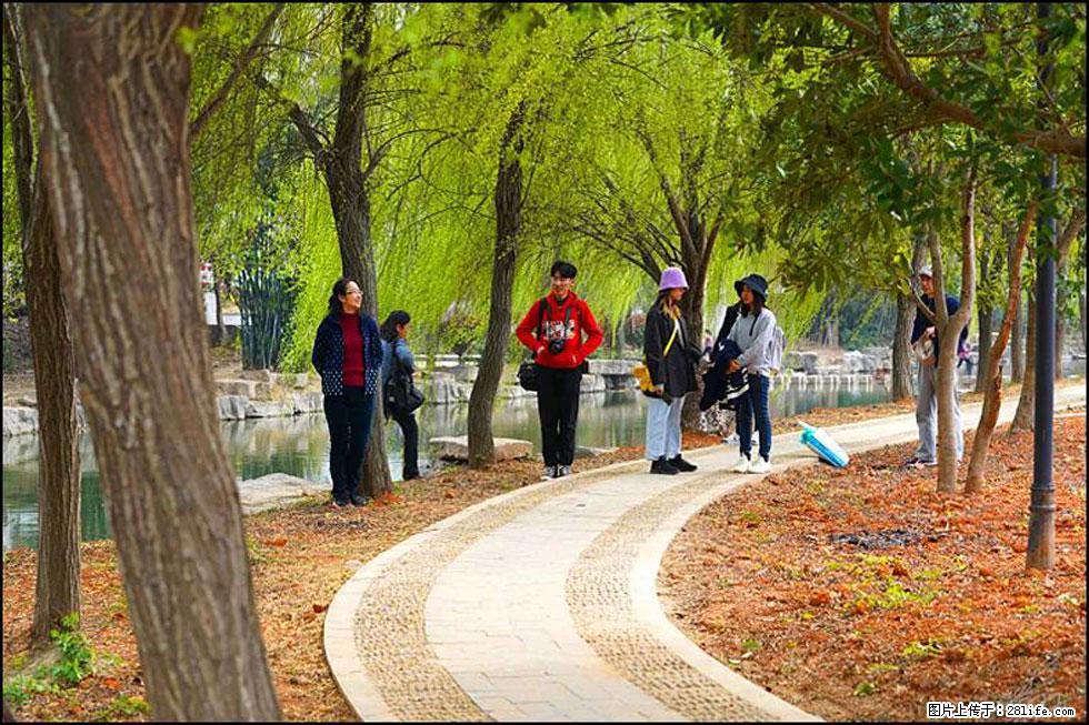 【春天,广西桂林灌阳县向您发出邀请!】江口老街又逢春 - 游山玩水 - 泰安生活社区 - 泰安28生活网 ta.28life.com