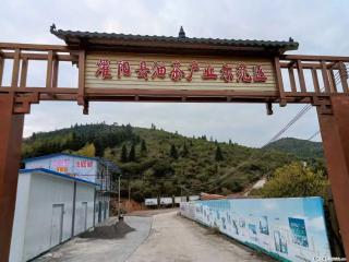 【灌阳县油茶产业示范区】一个有着充实的精神生活的人,对待身外之物自会有一种淡泊的态度 - 泰安28生活网 ta.28life.com