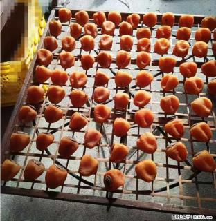 广西桂林平乐桥亭【柿饼之乡】2025年纯手工制作、无任何添加剂的第一批柿饼准备上市了，欢迎联系订购！ - 泰安28生活网 ta.28life.com