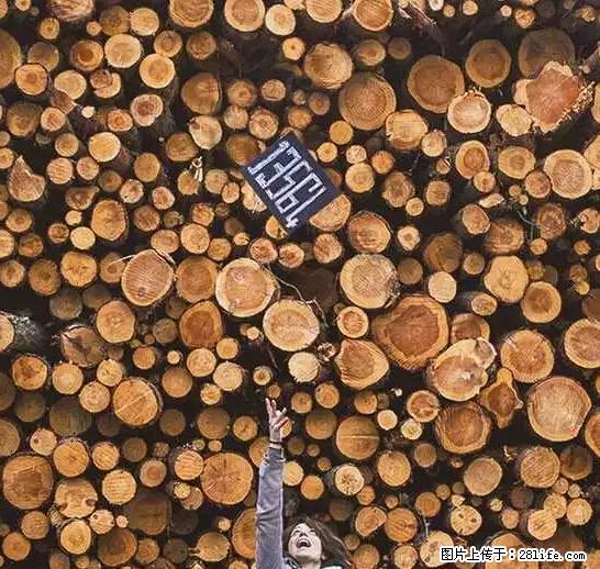 辞掉工作周游世界?现在他们在洗厕所…… - 游山玩水 - 泰安生活社区 - 泰安28生活网 ta.28life.com