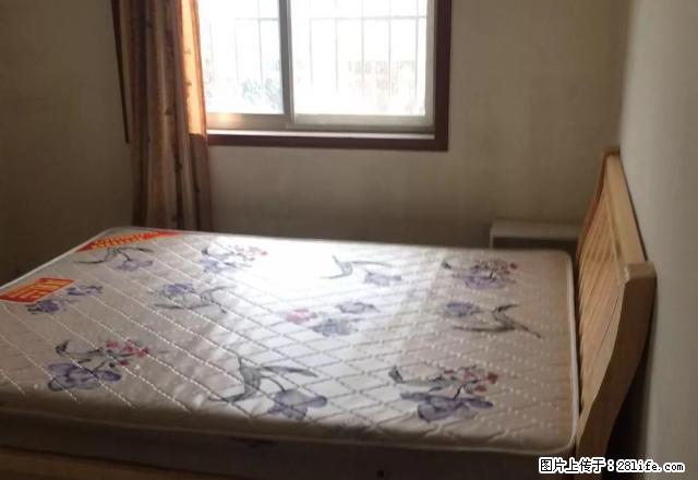 精装修紧邻凤凰小学 新一中 东方学院 泰山医学院 五矿北实小 - 房屋出租 - 房屋租售 - 泰安分类信息 - 泰安28生活网 ta.28life.com