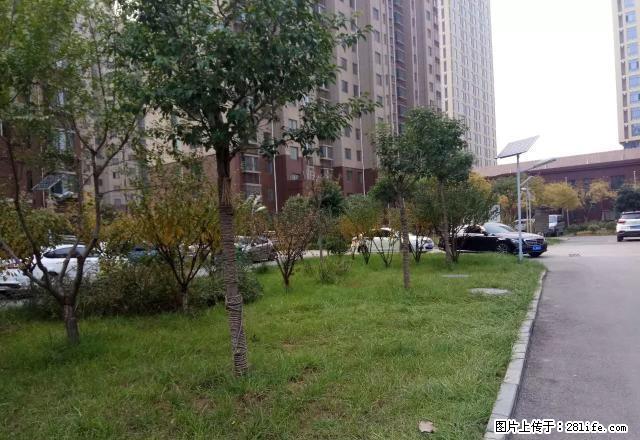 (单间出租)鲁商中心 清华苑 和园 英雄山中学 泮河小镇两室整租 - 房屋出租 - 房屋租售 - 泰安分类信息 - 泰安28生活网 ta.28life.com