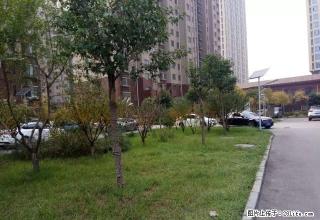 (单间出租)鲁商中心 清华苑 和园 英雄山中学 泮河小镇两室整租 - 泰安28生活网 ta.28life.com