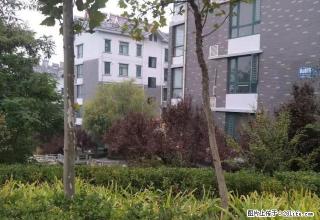 (单间出租)区政府花园洲小区 2楼新装精装3室 家电家具齐全拎包入住 - 泰安28生活网 ta.28life.com