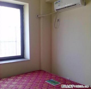 实图可短租可合租 宝龙城市广场精装拎包即住三合御都嘉德现代城 - 泰安28生活网 ta.28life.com