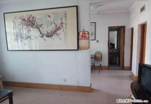双龙居B区 新六中 花园南师小分校 电梯洋房 新房新出租 - 房屋出租 - 房屋租售 - 泰安分类信息 - 泰安28生活网 ta.28life.com