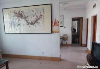 双龙居B区 新六中 花园南师小分校 电梯洋房 新房新出租 - 泰安28生活网 ta.28life.com