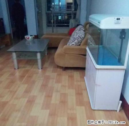 苹果园 岳峰小学 五环小区 月季花园 新城国际 新兴园 天龙 - 房屋出租 - 房屋租售 - 泰安分类信息 - 泰安28生活网 ta.28life.com