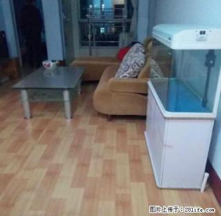 苹果园 岳峰小学 五环小区 月季花园 新城国际 新兴园 天龙 - 泰安28生活网 ta.28life.com