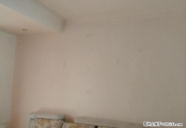 南关 灵山大街 东湖公园南面 迎春小区 精装 两室 拎包入住 - 房屋出租 - 房屋租售 - 泰安分类信息 - 泰安28生活网 ta.28life.com