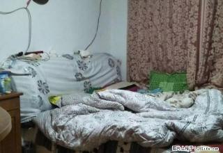 泰安二中北 温泉西区旁畜牧局宿舍 南北通透 出行方便 集暖 - 泰安28生活网 ta.28life.com