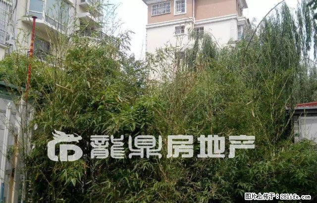 宝龙国际社区6楼123平精装拎包入住彩虹新苑嘉德现代城东华园 - 房屋出租 - 房屋租售 - 泰安分类信息 - 泰安28生活网 ta.28life.com
