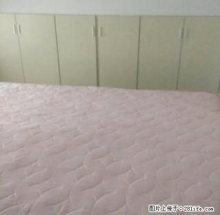 光大家园 四实小 新装 - 泰安28生活网 ta.28life.com