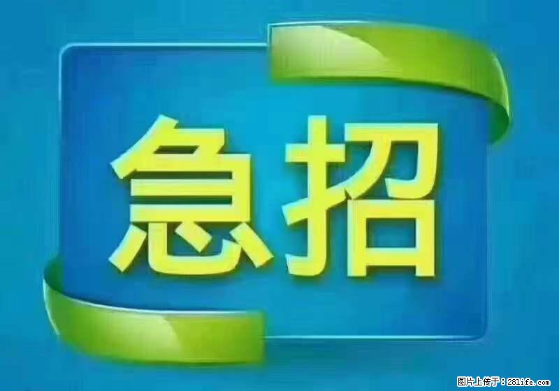 招出纳8000元/月,无证可以,要有相关经验,上海五险一金,包住,包工作餐,做六休一。 - 职场交流 - 泰安生活社区 - 泰安28生活网 ta.28life.com