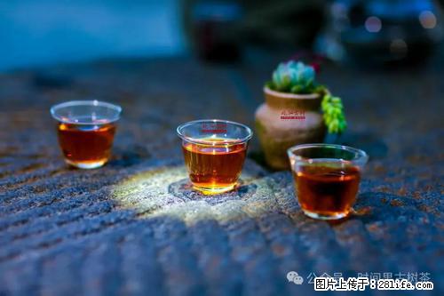 时间果百年古树2025年春红茶 - 购物交流 - 泰安生活社区 - 泰安28生活网 ta.28life.com