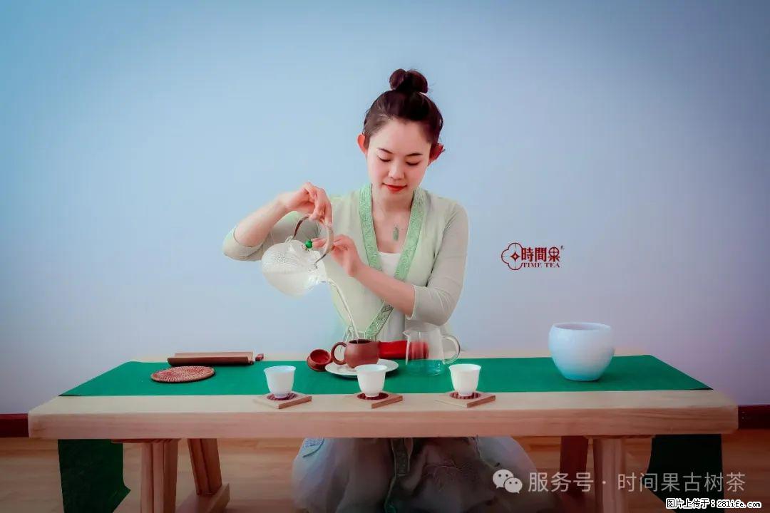 时间果百年古树龙珠普洱生茶 - 购物交流 - 泰安生活社区 - 泰安28生活网 ta.28life.com