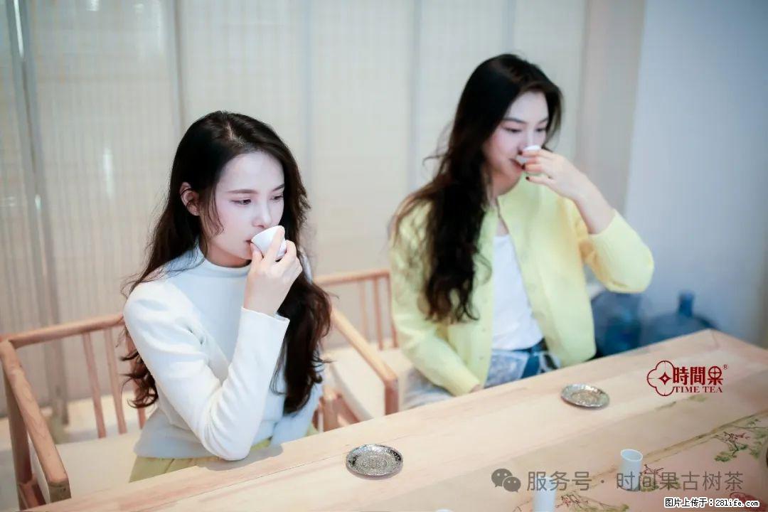 时间果百年古树龙珠普洱生茶 - 购物交流 - 泰安生活社区 - 泰安28生活网 ta.28life.com