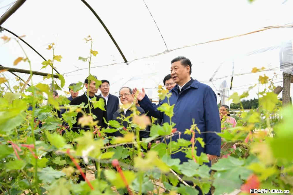 习近平赴广西考察调研 - 泰安生活资讯 - 泰安28生活网 ta.28life.com