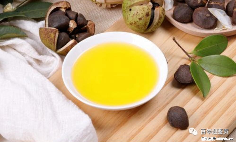 揭秘茶油的5大核心营养成分！被称为人体健康的“守护盾”！ - 泰安生活资讯 - 泰安28生活网 ta.28life.com