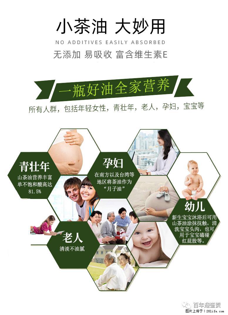 世界没有真相,只有认知,最好的食用油是中国的山茶油! - 泰安生活资讯 - 泰安28生活网 ta.28life.com