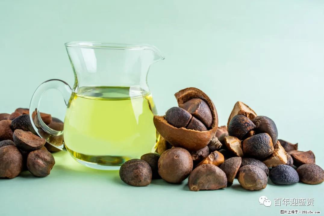 世界没有真相,只有认知,最好的食用油是中国的山茶油! - 泰安生活资讯 - 泰安28生活网 ta.28life.com
