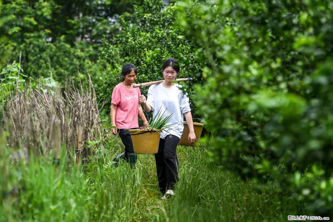 全网追的“扁担女孩”,找了一份暑假工,时薪12元 - 泰安生活资讯 - 泰安28生活网 ta.28life.com