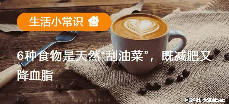【生活小常识】6种食物是天然“刮油菜”，既减肥又降血脂 - 泰安生活资讯 - 泰安28生活网 ta.28life.com