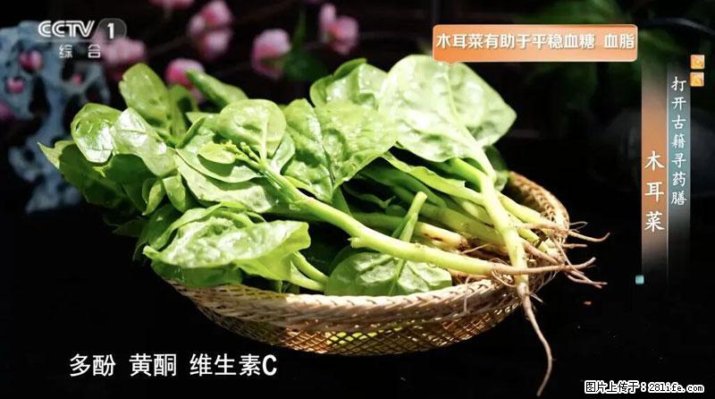 比牛奶补钙还厉害！凉血解毒、稳血糖...这菜冬天必吃，很多人却当草 - 泰安生活资讯 - 泰安28生活网 ta.28life.com