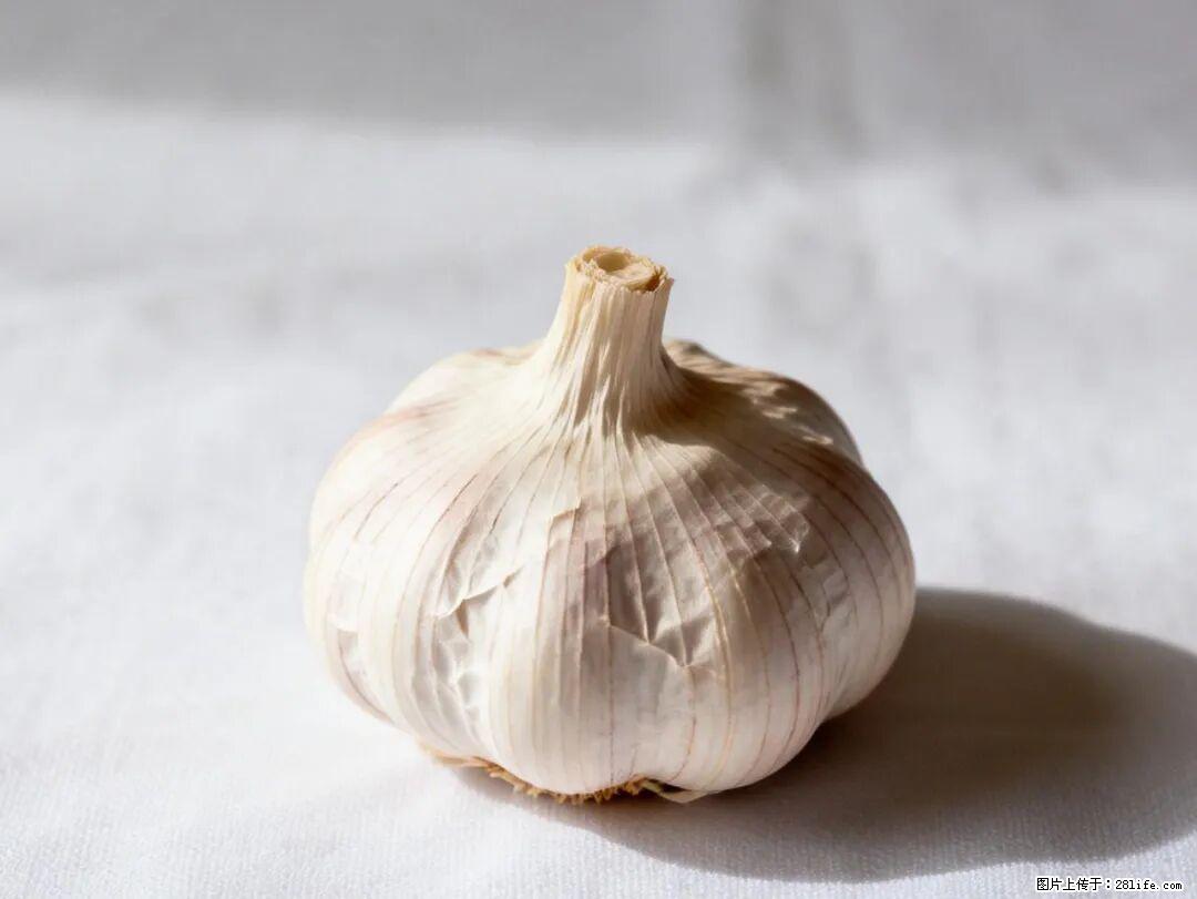 关于大蒜，除了“天然抗生素”，这4个谣言更该警惕! - 泰安生活资讯 - 泰安28生活网 ta.28life.com