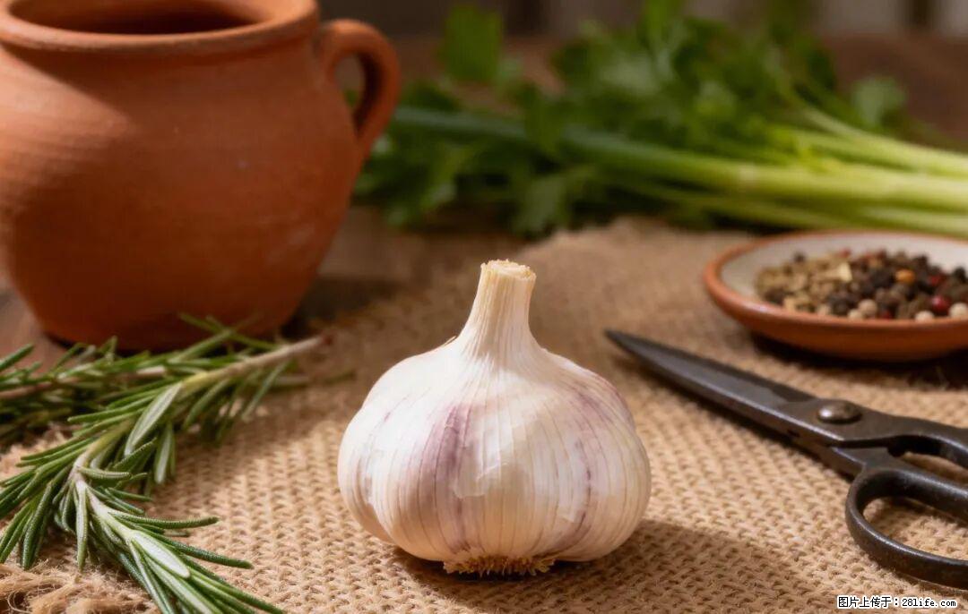 关于大蒜，除了“天然抗生素”，这4个谣言更该警惕! - 泰安生活资讯 - 泰安28生活网 ta.28life.com