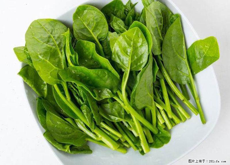 这些蔬菜是“天然钙片”，这6种被医生重点推荐 - 泰安生活资讯 - 泰安28生活网 ta.28life.com