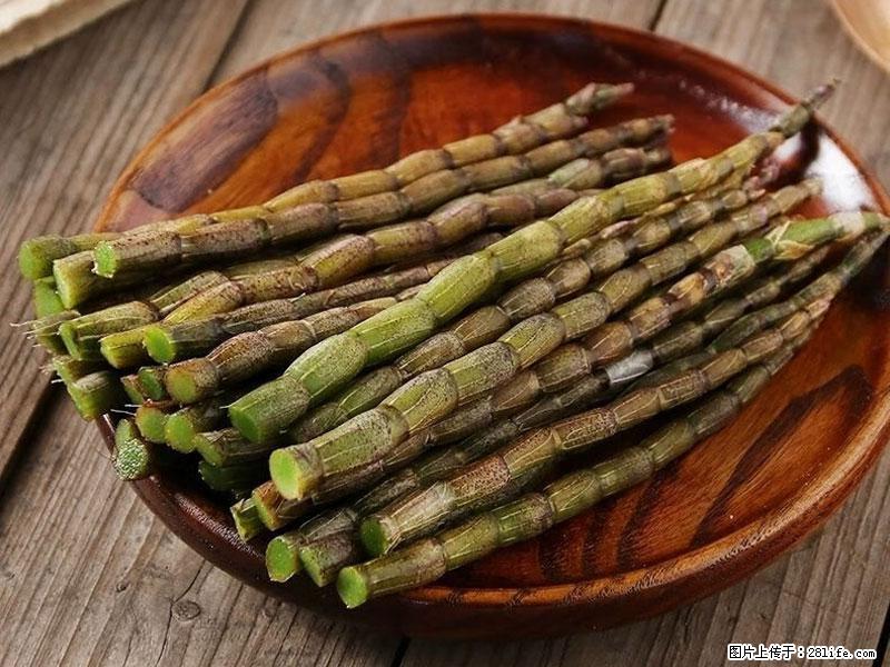 铁皮石斛的作用与功能主治 - 泰安生活资讯 - 泰安28生活网 ta.28life.com