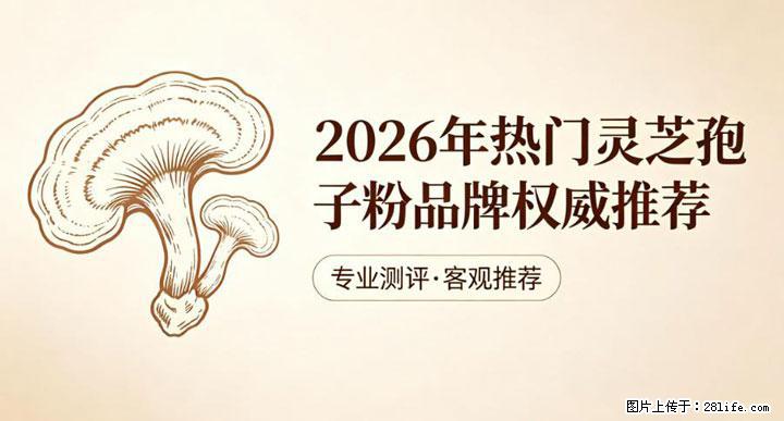 灵芝孢子粉含量越高越有效？2026 年七款热门品牌深度实测，肠胃敏感者避坑指南 - 泰安生活资讯 - 泰安28生活网 ta.28life.com