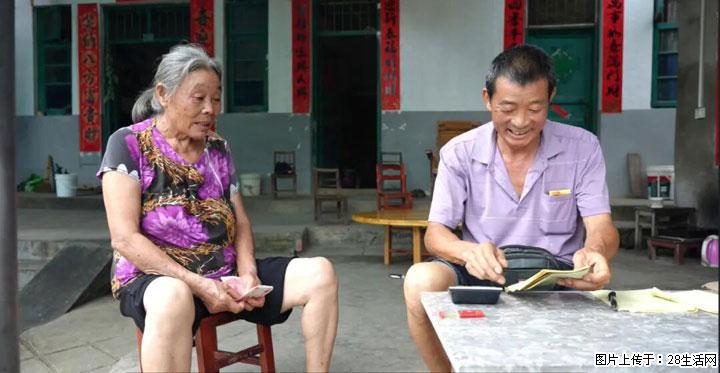 【乡村振兴】广西桂林市灌阳县文市蜂糖李、黄金奈李迎丰产上市季 甜蜜产业助振兴 - 泰安生活资讯 - 泰安28生活网 ta.28life.com