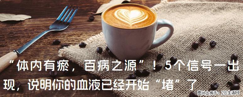 “体内有瘀，百病之源”！5个信号一出现，说明你的血液已经开始“堵”了 - 泰安生活资讯 - 泰安28生活网 ta.28life.com